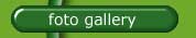 Photo Gallery